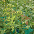 085003_20181026142903_04.JPG