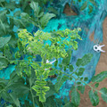 085003_20181026142908_01.JPG