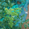 085003_20181026142908_02.JPG