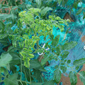 085003_20181026142910_02.JPG