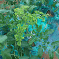 085003_20181026142910_03.JPG