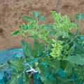 085003_20181026142923_04.JPG