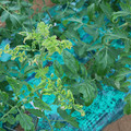 085003_20181026142939_01.JPG