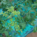 085003_20181026142939_03.JPG