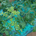 085003_20181026142939_04.JPG