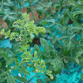 085003_20181026142940_01.JPG