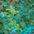 085003_20181026142940_03.JPG