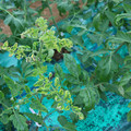 085003_20181026142940_04.JPG