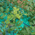 085003_20181026142947_01.JPG