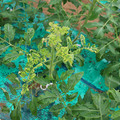 085003_20181026142947_02.JPG