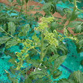 085003_20181026142948_03.JPG