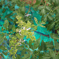 085003_20181026142959_03.JPG