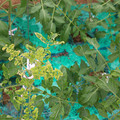 085003_20181026143000_01.JPG