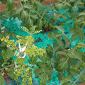 085003_20181026143000_03.JPG