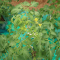 085003_20181026143126_01.JPG