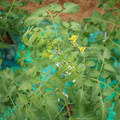 085003_20181026143127_02.JPG