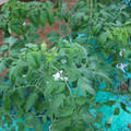 085003_20181026143134_01.JPG