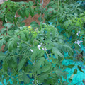 085003_20181026143134_02.JPG