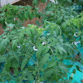 085003_20181026143134_04.JPG