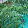 085003_20181026143135_03.JPG