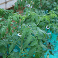 085003_20181026143135_04.JPG