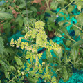 085003_20181029095600_02.JPG