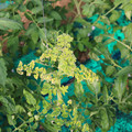 085003_20181029095600_03.JPG