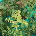 085003_20181029095600_05.JPG