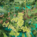 085003_20181029095602_01.JPG