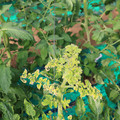 085003_20181029095602_03.JPG