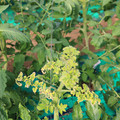 085003_20181029095602_04.JPG