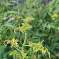 085003_20181029095607_01.JPG