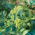 085003_20181029095612_04.JPG
