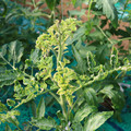 085003_20181029095613_01.JPG