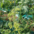 085003_20181029095614_02.JPG