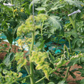 085003_20181029095614_04.JPG