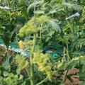 085003_20181029095615_01.JPG