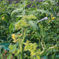 085003_20181029095620_01.JPG