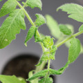 085005_20180530133758_01.JPG