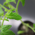 085005_20180530134249_01.JPG