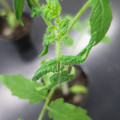 085005_20180530134427_01.JPG