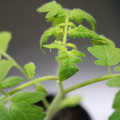 085005_20180530134727_01.JPG