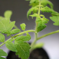 085005_20180530134729_01.JPG