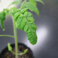 085005_20180530134930_01.JPG