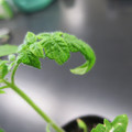 085005_20180530135630_01.JPG