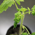 085005_20180530135753_02.JPG
