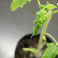 085005_20180530135754_04.JPG