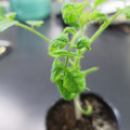 085005_20180530135901_01.JPG