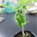085005_20180530135904_01.JPG