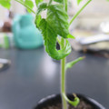 085005_20180530135907_01.JPG